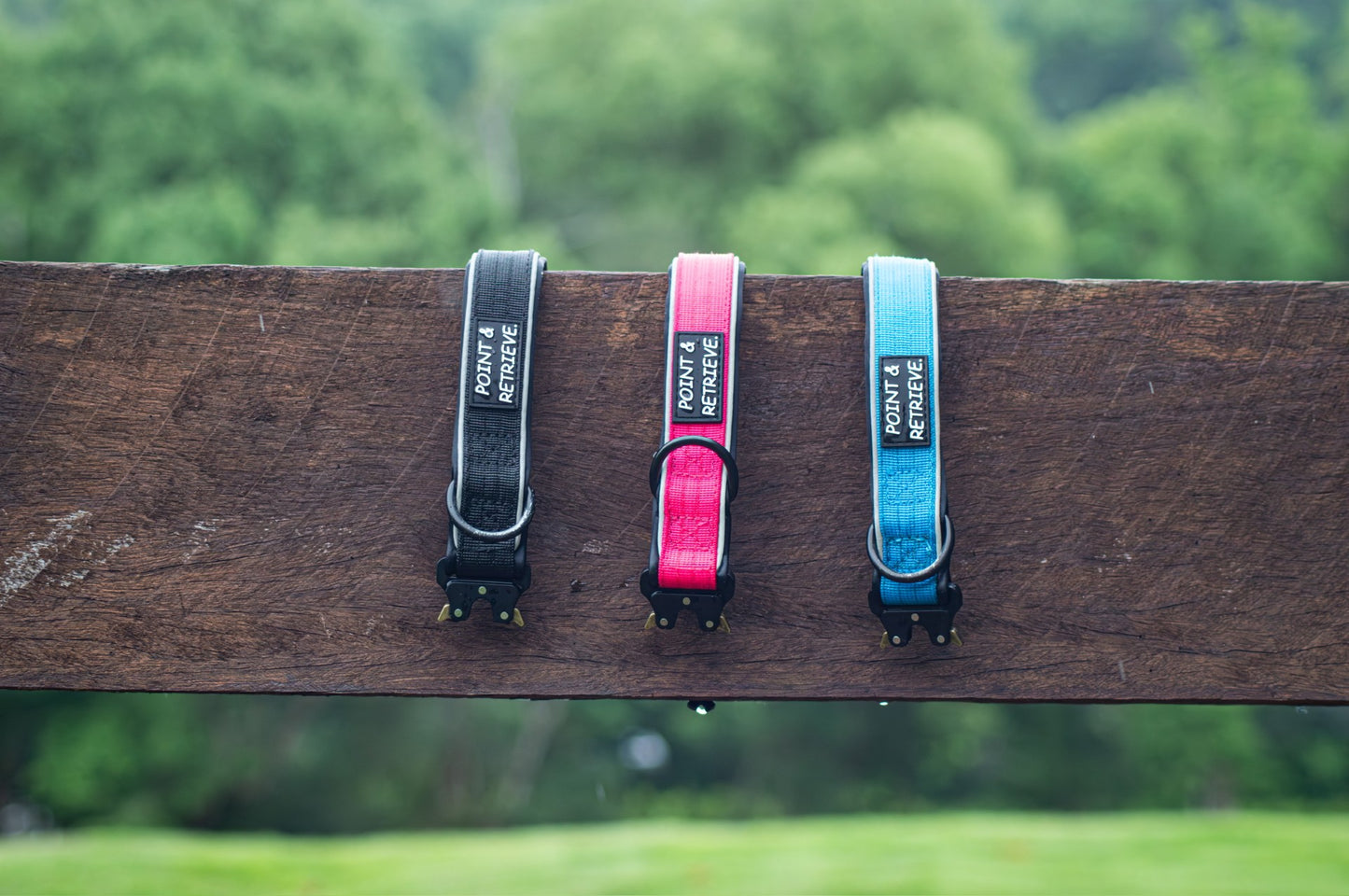 Three Point & Retrieve dog collars in black, pink, and blue on a wooden post with a blurred green background