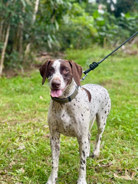 RidgeLine Rope Lead Navy