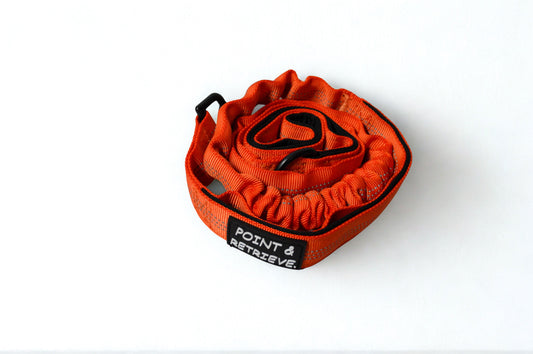 Bungee Lead Orange