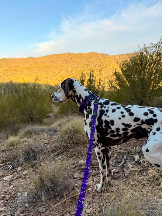 Tactical Lead - Purple Camo