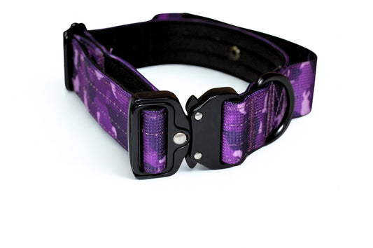 Purple camouflage tactical dog collar with black hardware on a white background