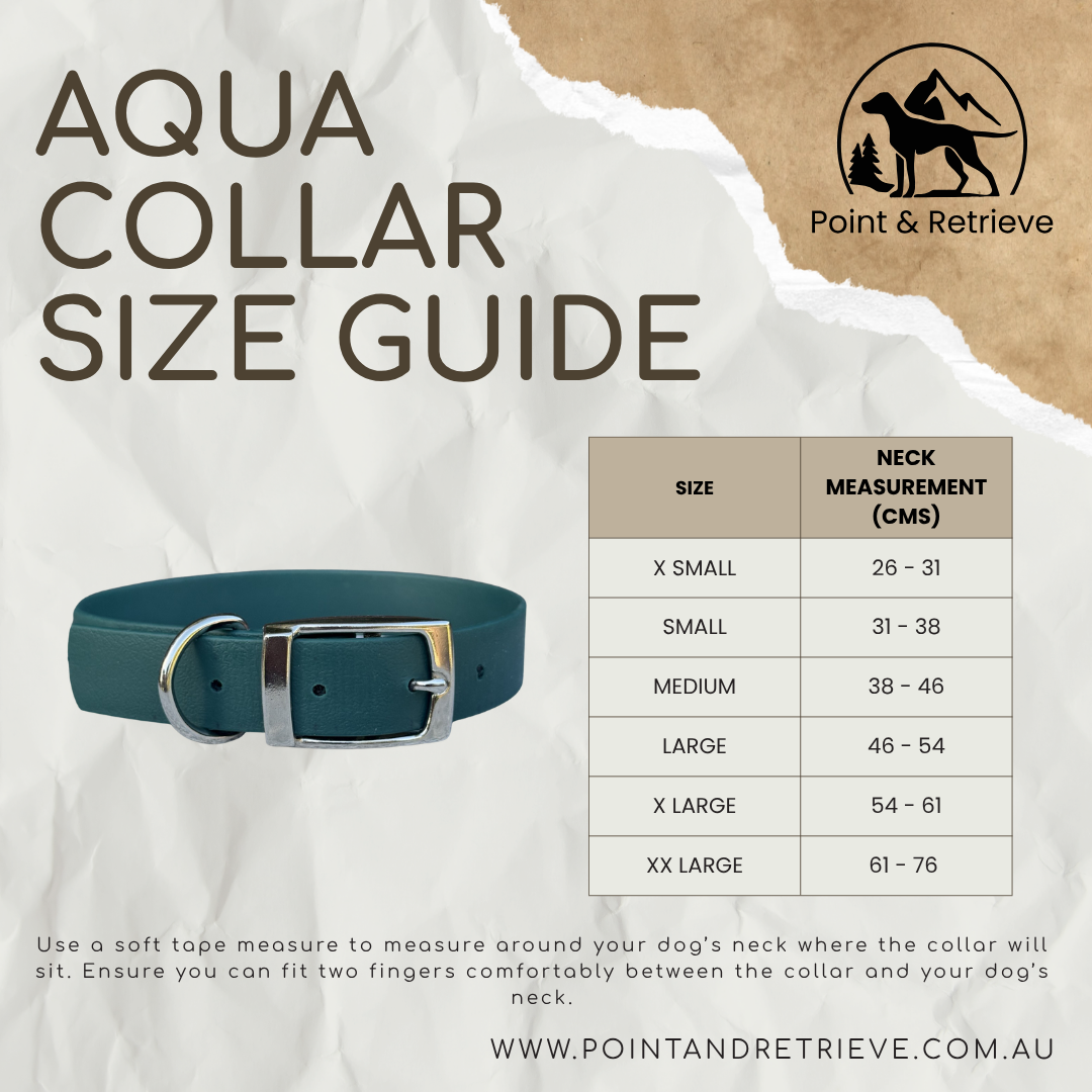 Aqua Collar in forest green with stainless steel accessories. 