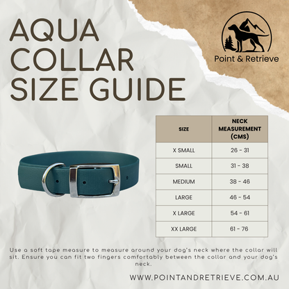 Aqua Collar in forest green with stainless steel accessories. 