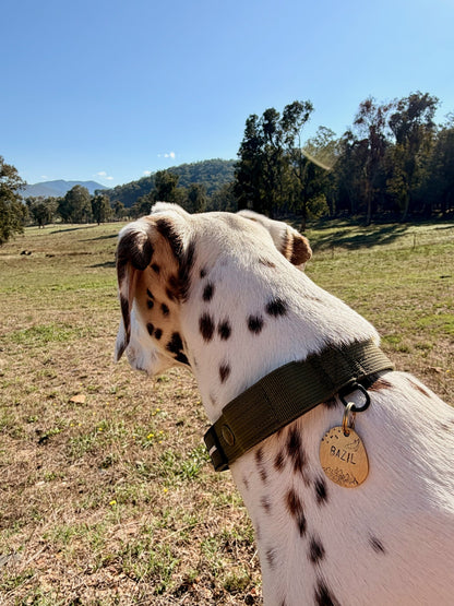 Custom Brass Hand Stamped Pet ID Tag - Circle