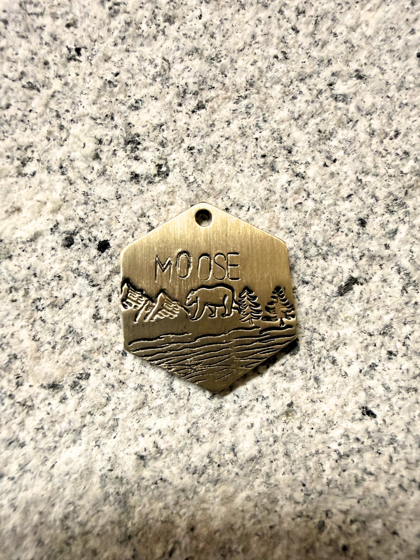 Custom Brass Hand Stamped Pet ID Tag - Hexagon