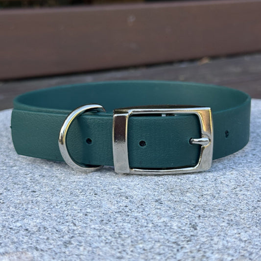 Teal dog collar with silver buckle on a concrete surface