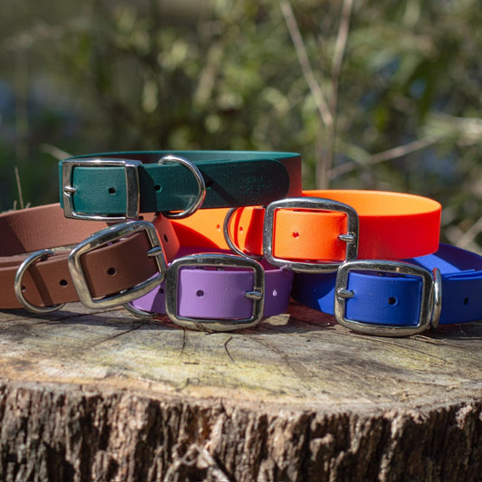 Colorful Biothane dog collars with silver-tone metal buckles arranged on a rustic tree stump outdoors.