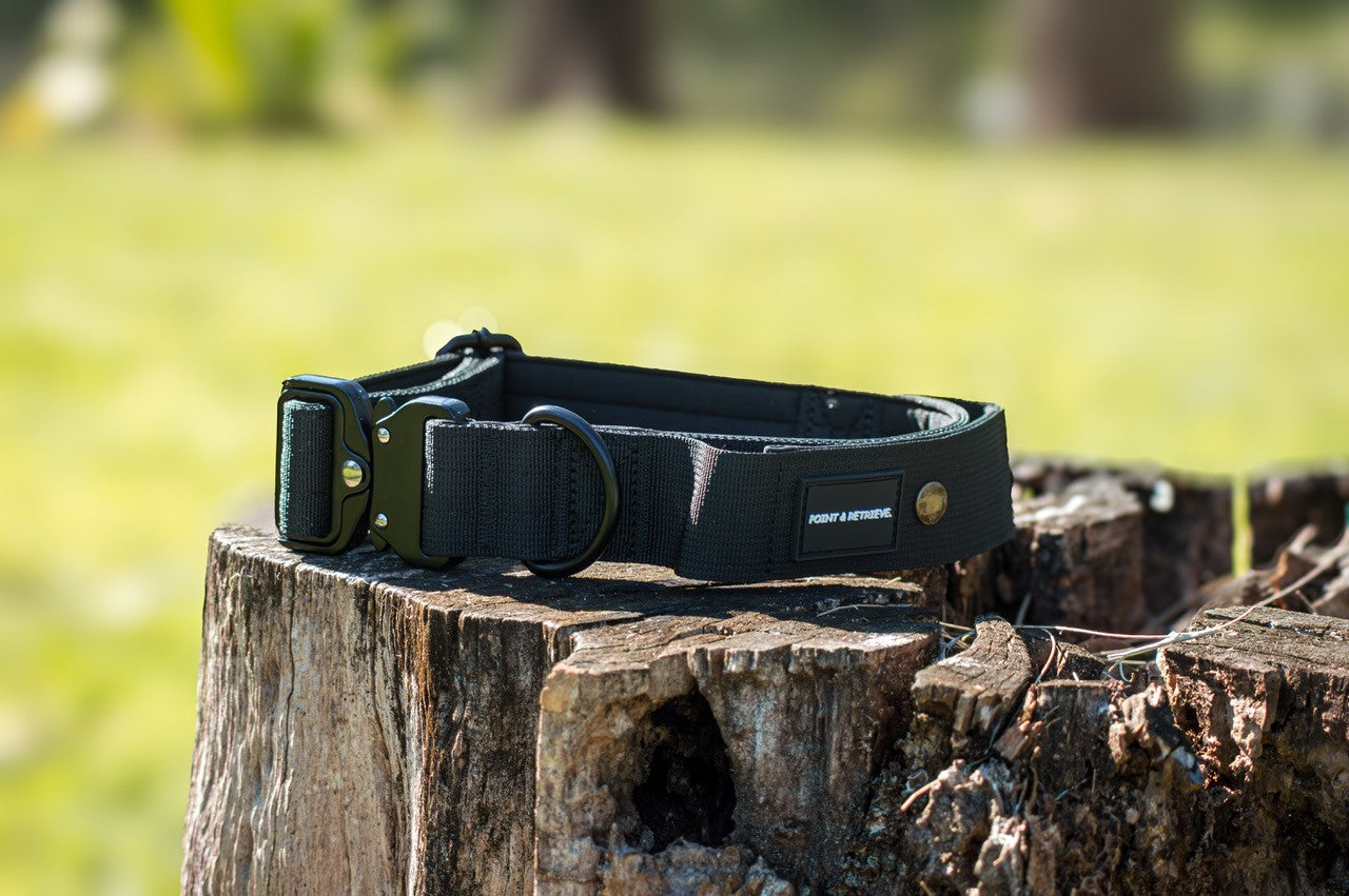 Black tactical dog collar on a wooden stump with a blurred natural background 