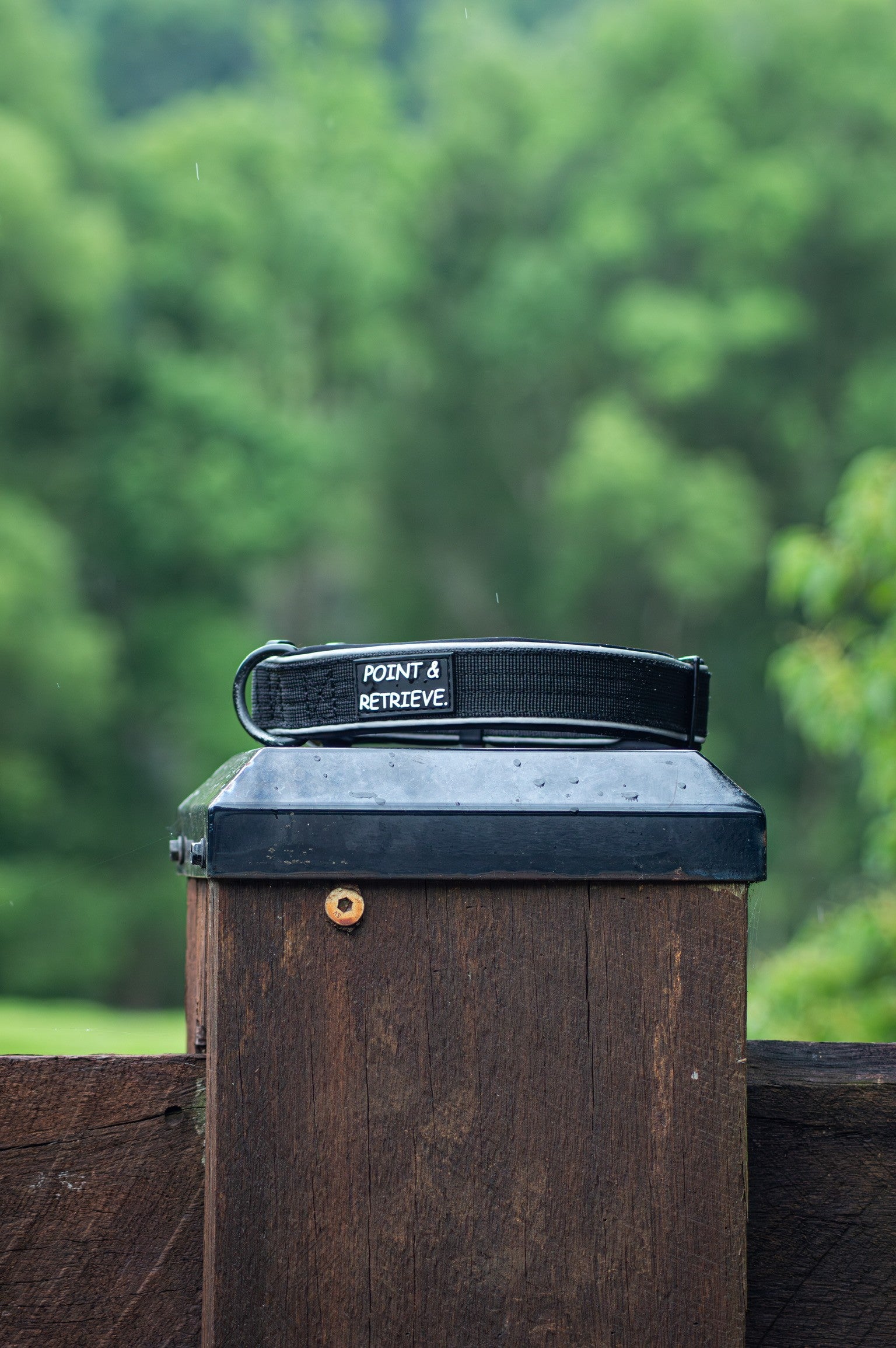 Black Point & Retrieve dog collar on a wooden post with greenery in the background