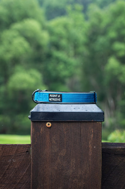 Blue and black dog Collar on a wooden post with greenery in the background