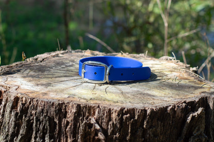 A bright blue biothane dog collar with a silver metal buckle, displayed on a rustic tree stump with a blurred outdoor background.