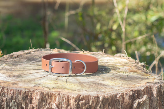 A tan leather dog collar with a silver buckle, displayed on a rustic tree stump with a blurred outdoor background.