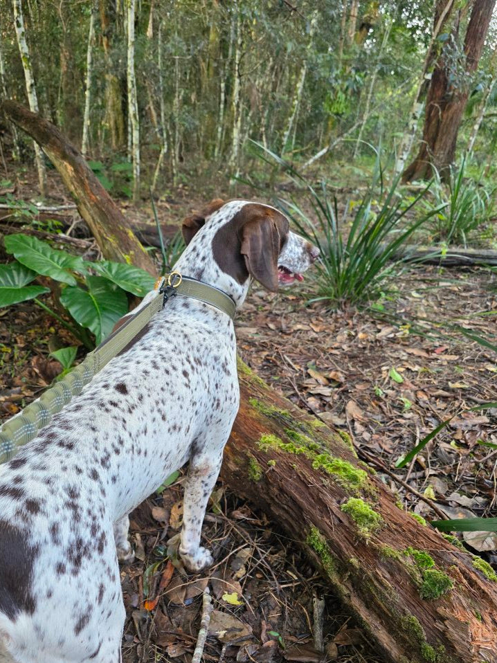 Bungee Lead Army Green