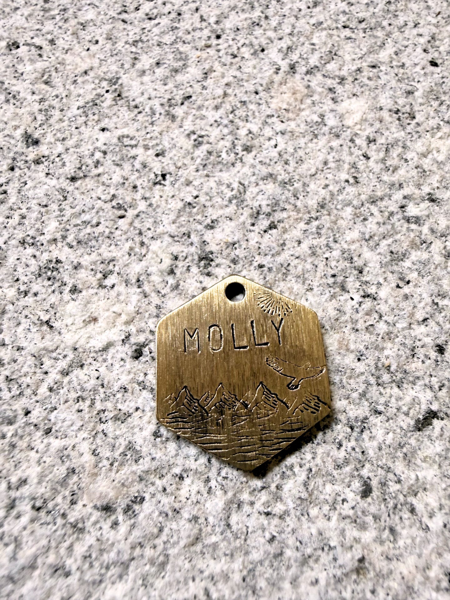 Bronze dog tag with 'MOLLY' engraved on a gray surface