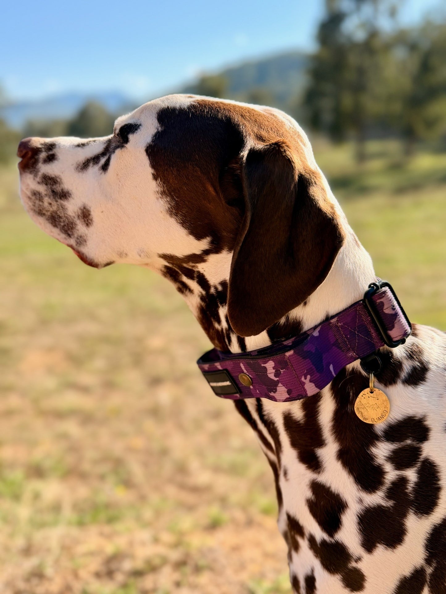 Custom Brass Hand Stamped Pet ID Tag - Circle
