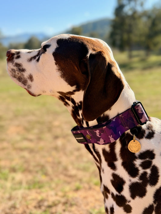 Custom Brass Hand Stamped Pet ID Tag - Circle