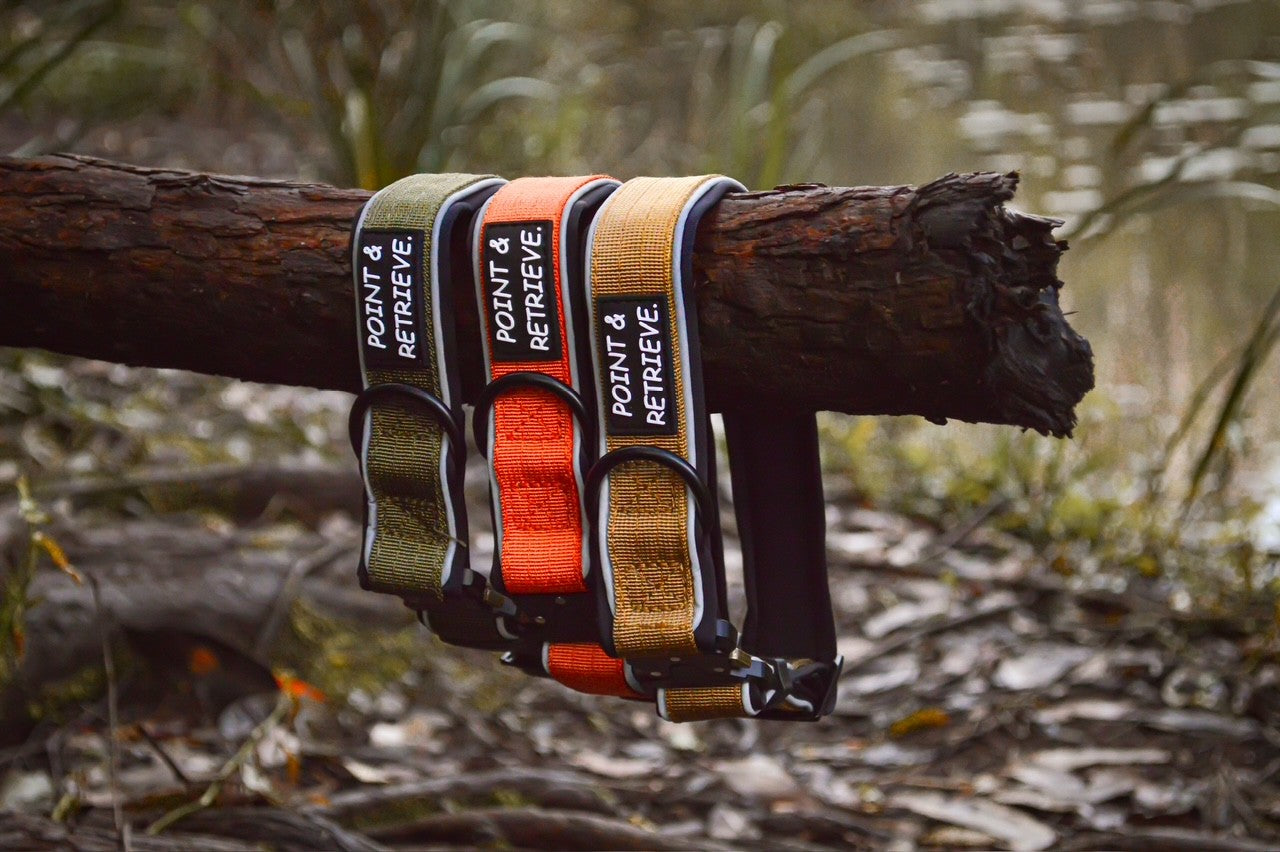 Everyday Adventure Collar - Brown