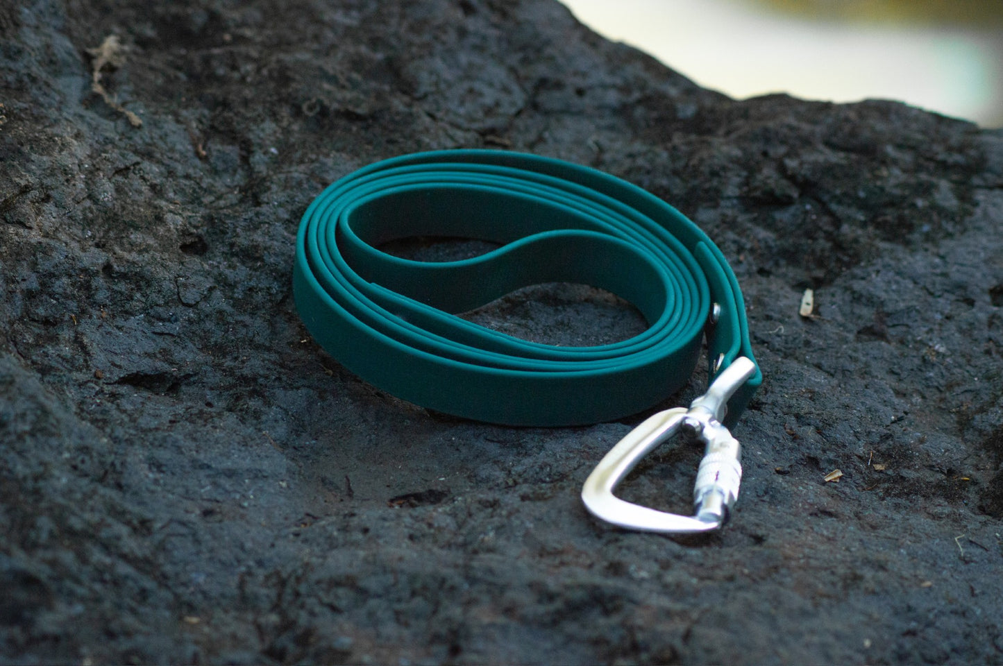 A teal rubber dog leash coiled on a dark textured rock, featuring a silver metal carabiner clip.