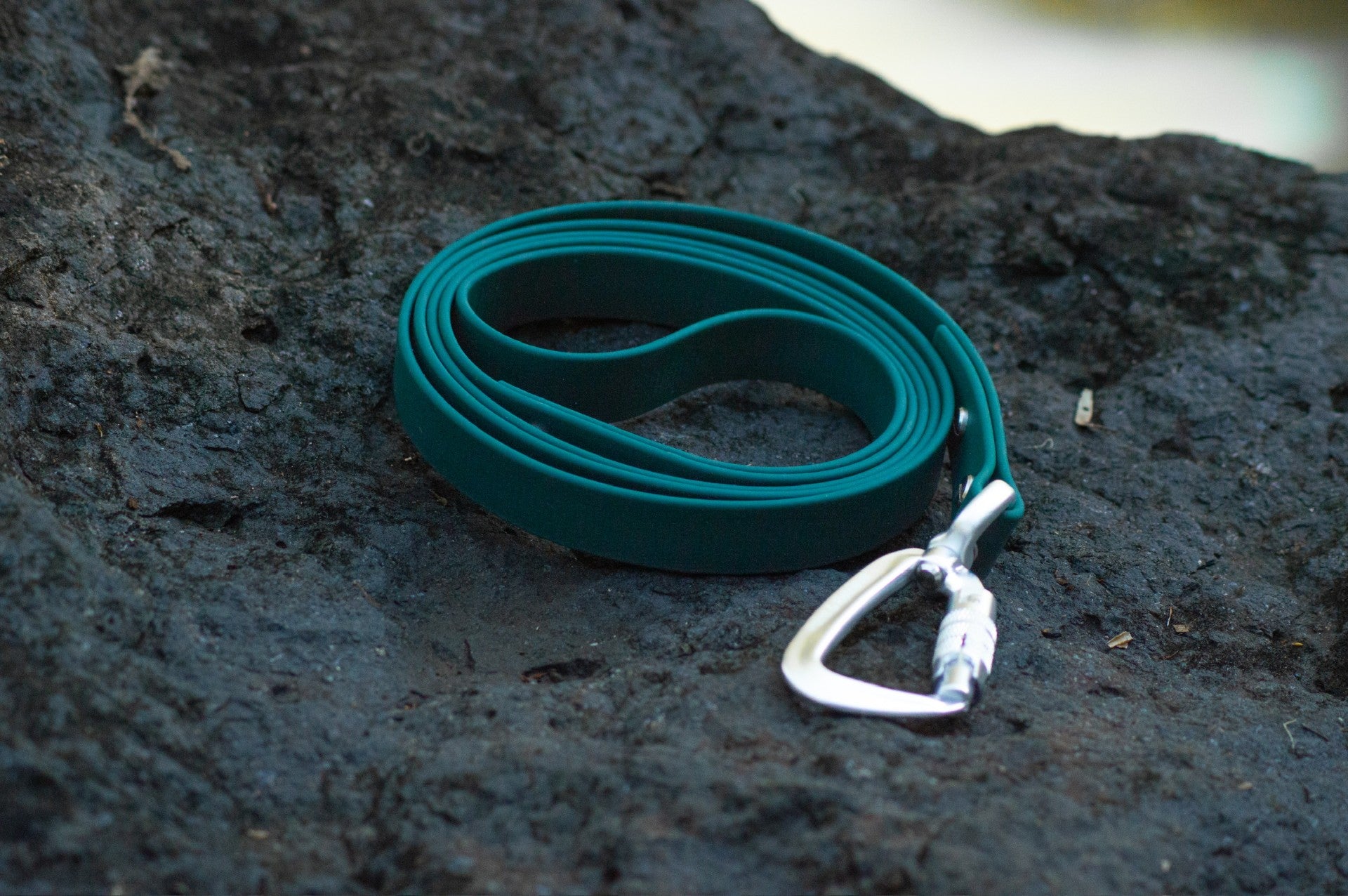 A teal rubber dog leash coiled on a dark textured rock, featuring a silver metal carabiner clip.