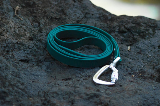 A teal rubber dog leash coiled on a dark textured rock, featuring a silver metal carabiner clip.