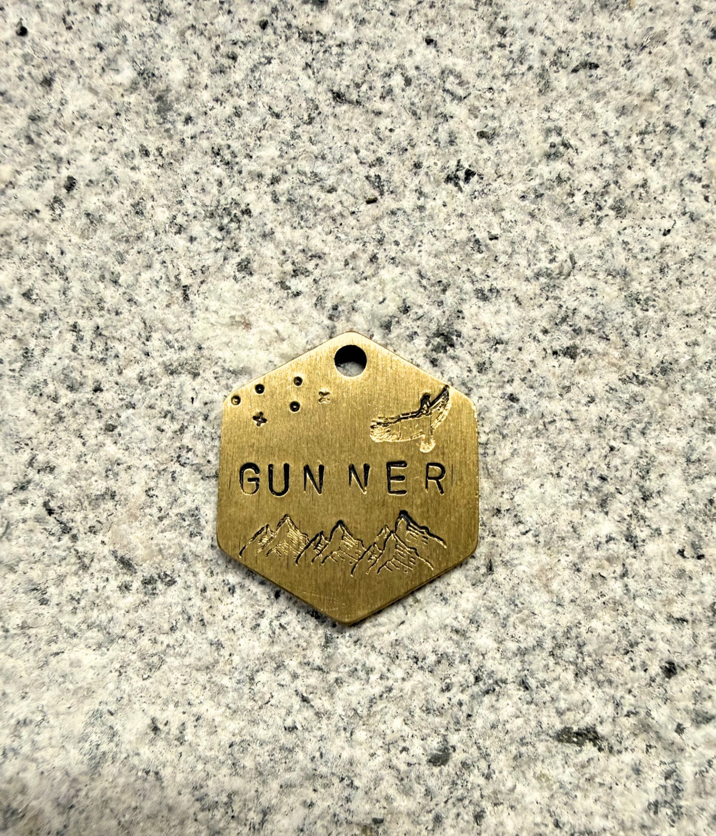 Gold hexagonal pet tag with 'GUNNER' engraved on a gray surface