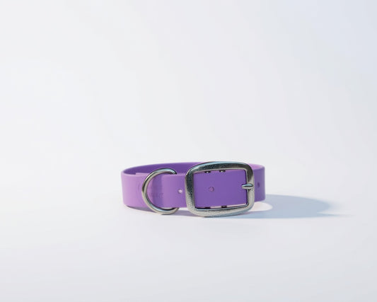 Aqua Collar - Lavender