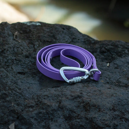 A purple pet leash with a silver carabiner clip, resting on a dark textured rock.