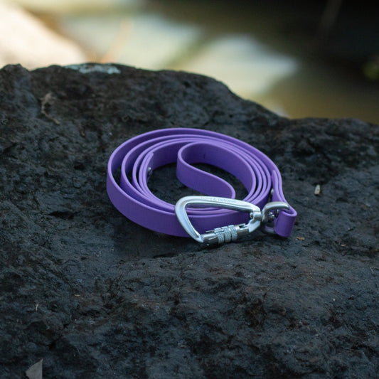 A purple pet leash with a silver carabiner clip, resting on a dark textured rock.
