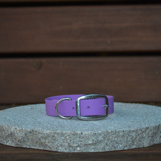 A purple leather dog collar with a silver metal buckle, displayed on a round gray stone slab against a dark brown wooden background.