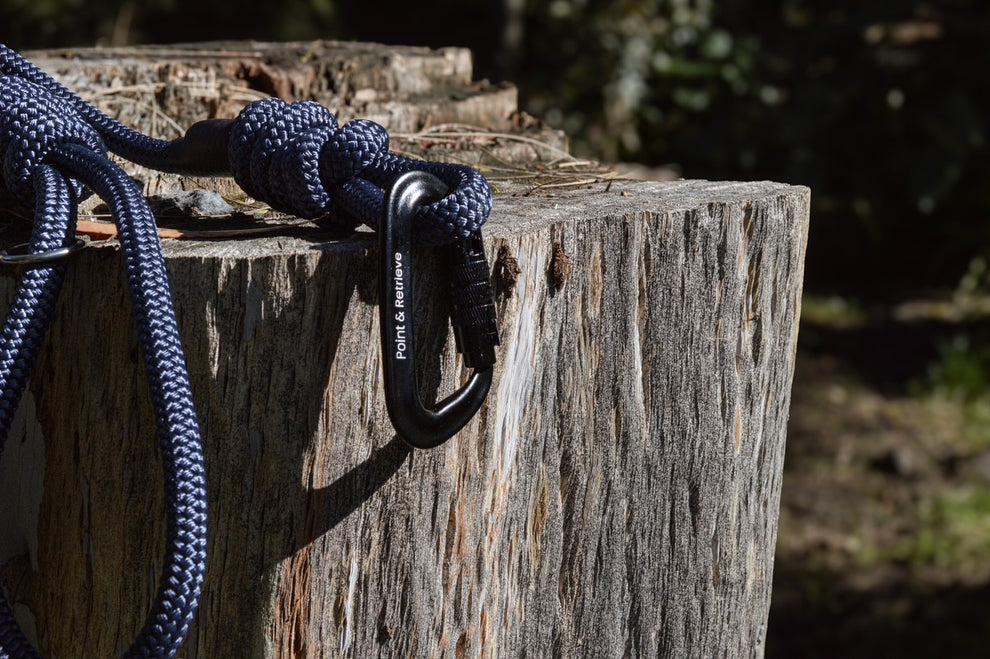RidgeLine Rope Lead Navy – Point & Retrieve