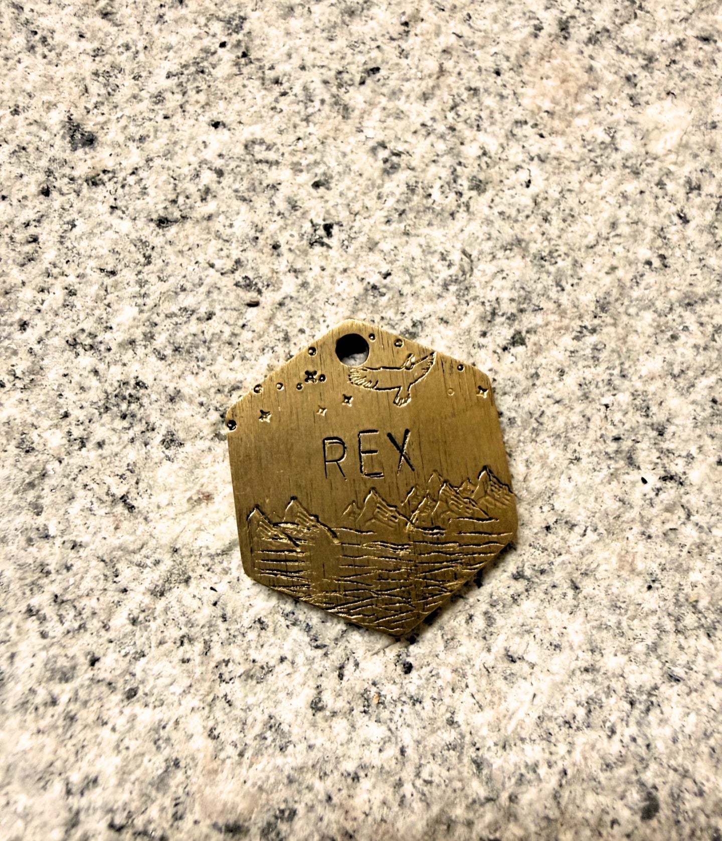 Bronze dog tag with 'REX' engraved on a granite surface