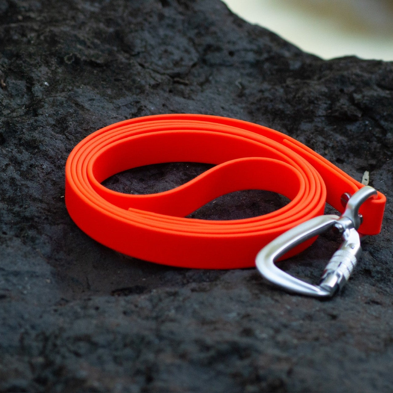 Bright orange pet leash with a silver carabiner clip, coiled on a dark textured rock surface.