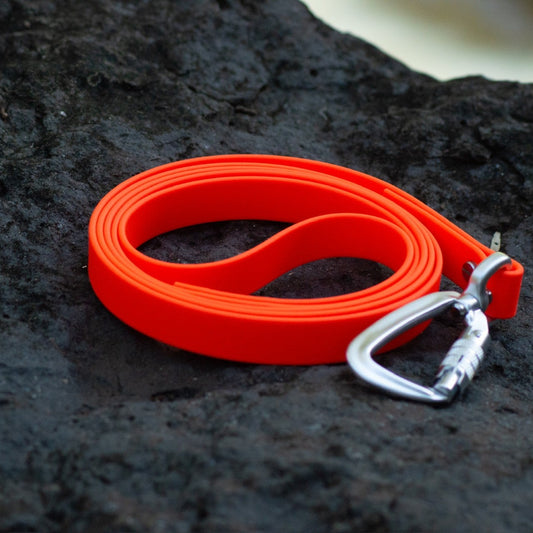 Bright orange pet leash with a silver carabiner clip, coiled on a dark textured rock surface.
