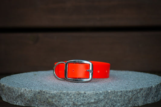 A bright neon orange Biothane Collar with a silver metal buckle, displayed on a round gray stone slab against a dark brown wooden background.