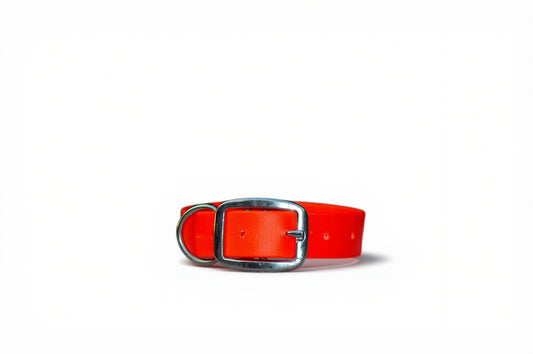 Aqua Collar - Orange