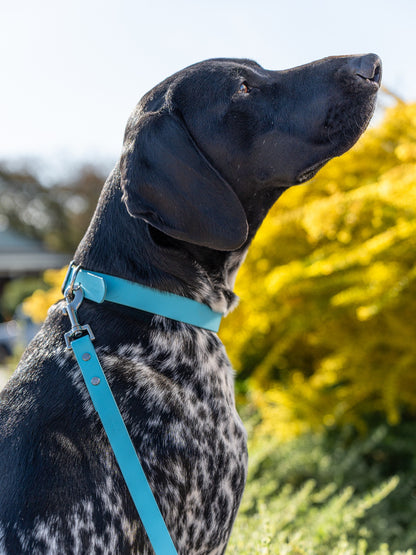 Aqua Collar - Pastel Blue