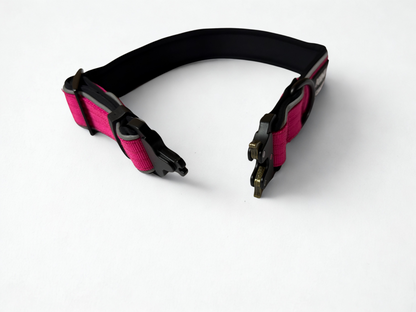 Black and pink Point & Retrieve dog collar on a white background