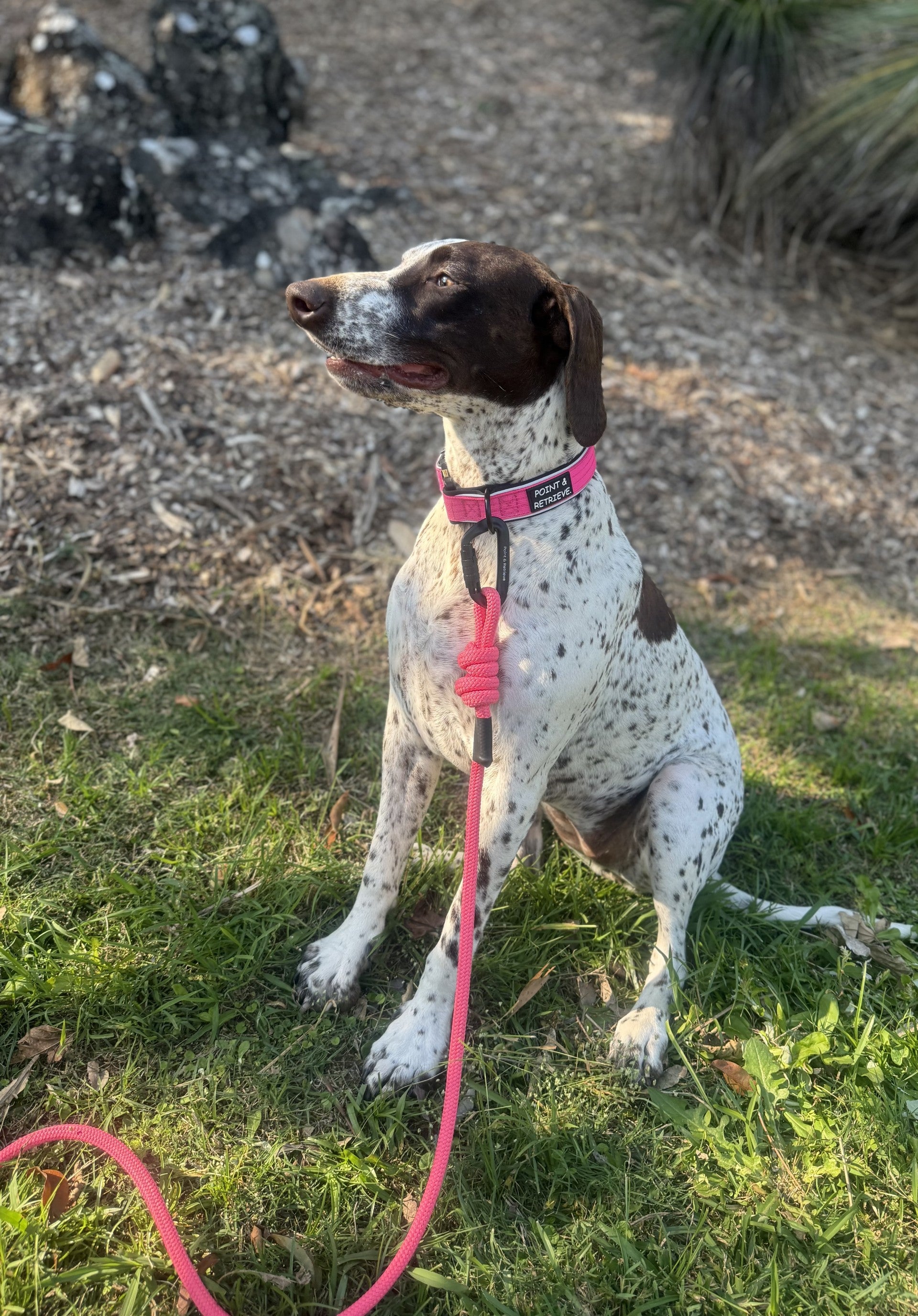 RidgeLine Rope Lead Pink Rose – Point & Retrieve