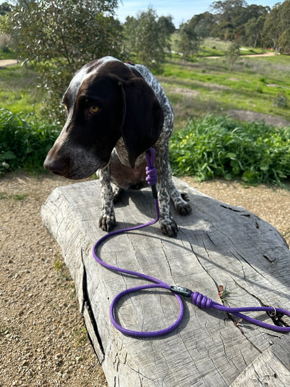 RidgeLine Rope Lead Purple