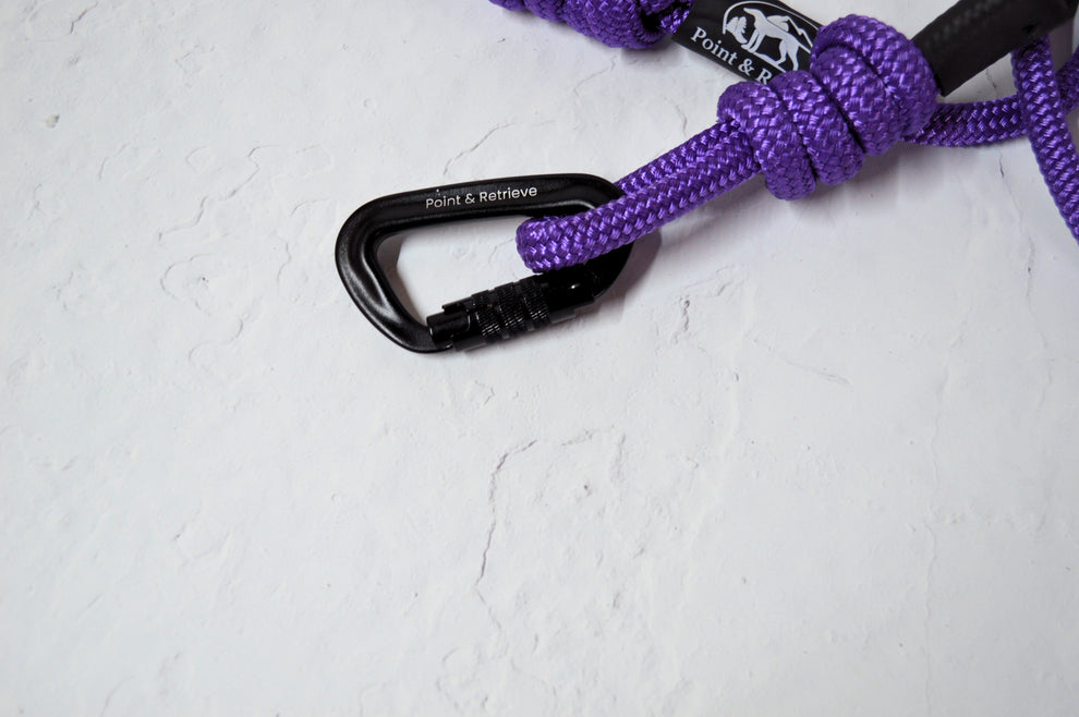 RidgeLine Rope Lead Purple – Point & Retrieve