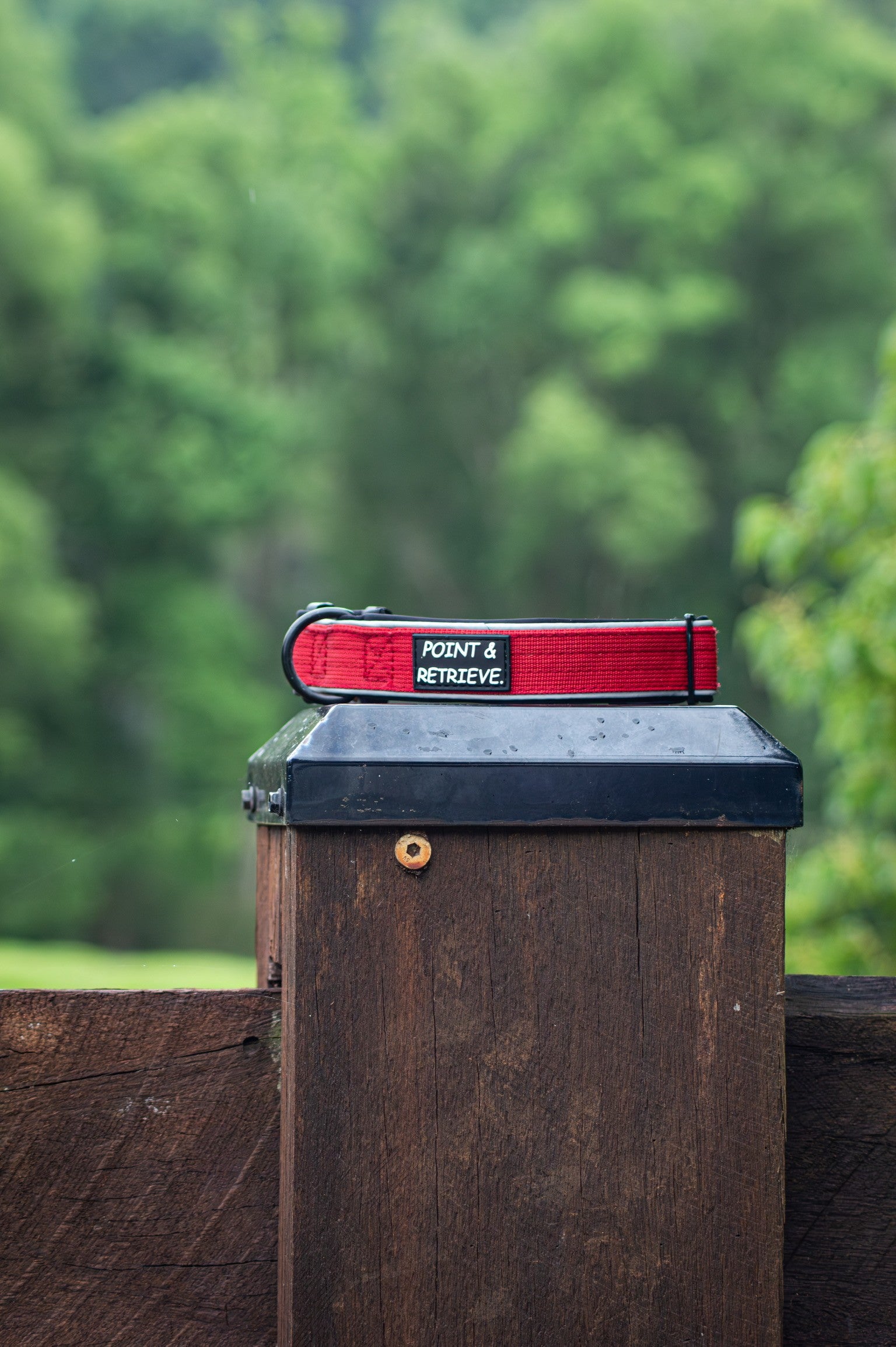 Red and black dog collar with 'Point & Retrieve' text on a wooden post against a blurred green forest background