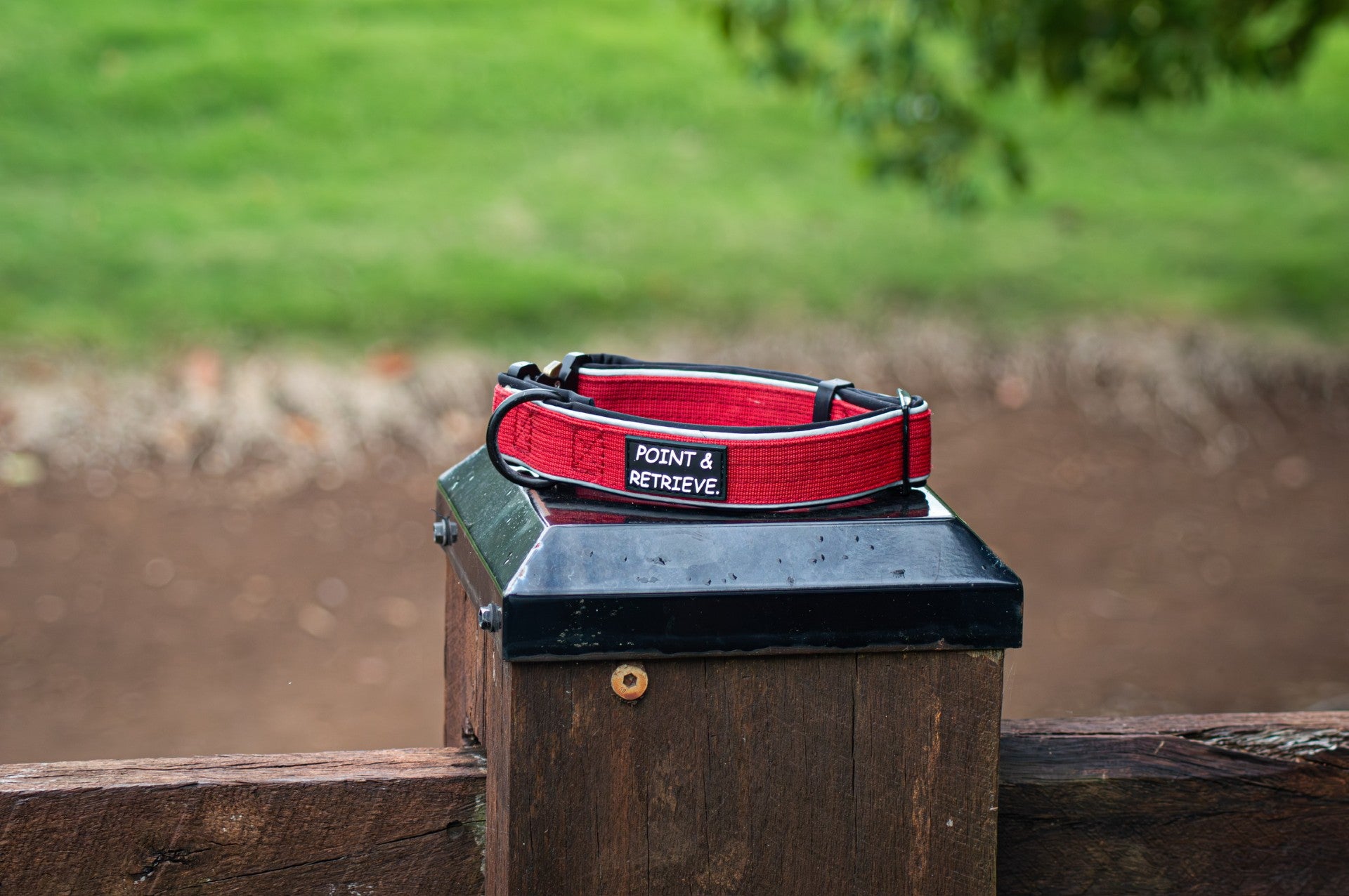 Red dog collar with 'Point & Retrieve' text on a wooden post outdoors.