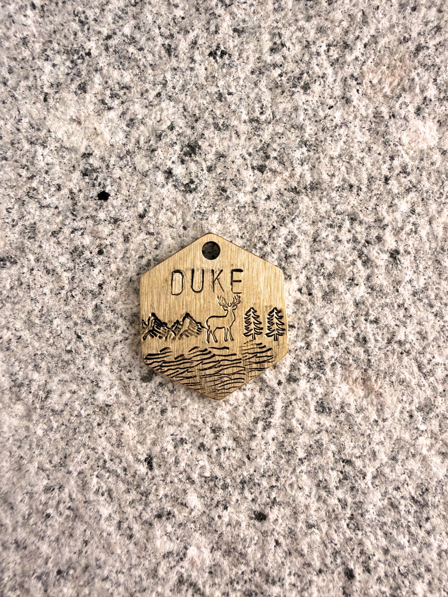 Brass dog tag with 'DUKE' engraved on a gray concrete surface