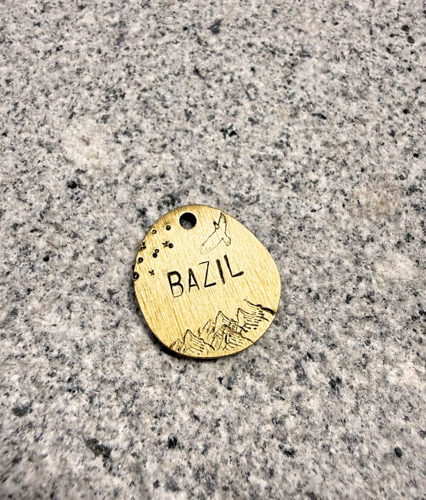 Custom Brass Hand Stamped Pet ID Tag - Circle