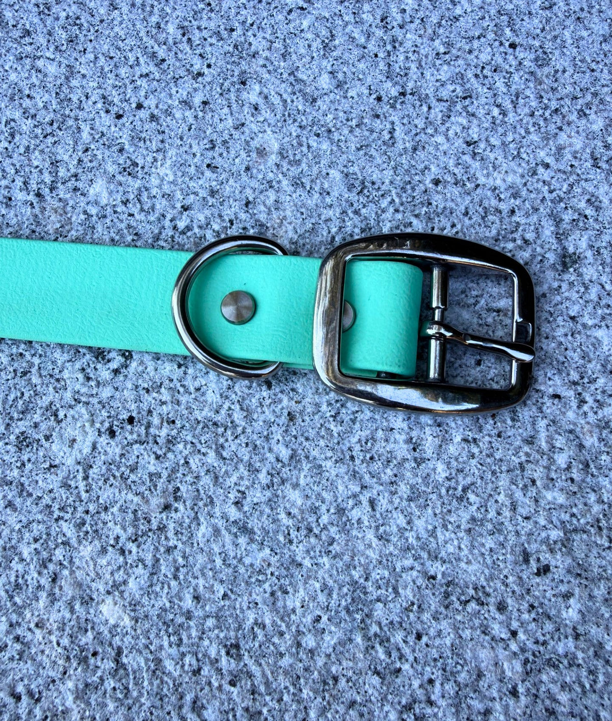 Aqua Collar - Seafoam