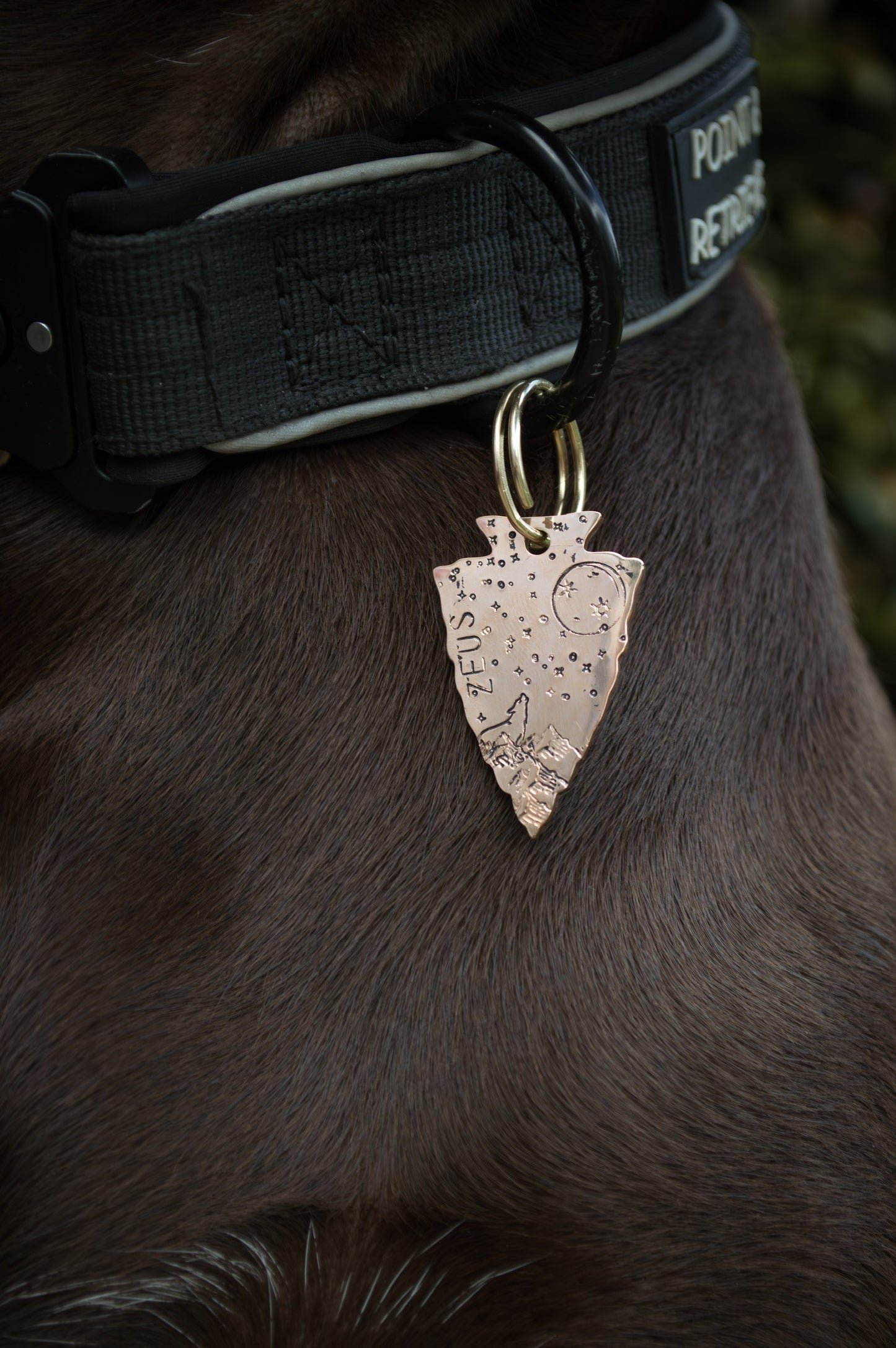 Custom Hand Stamped Pet ID Tag - Arrowhead