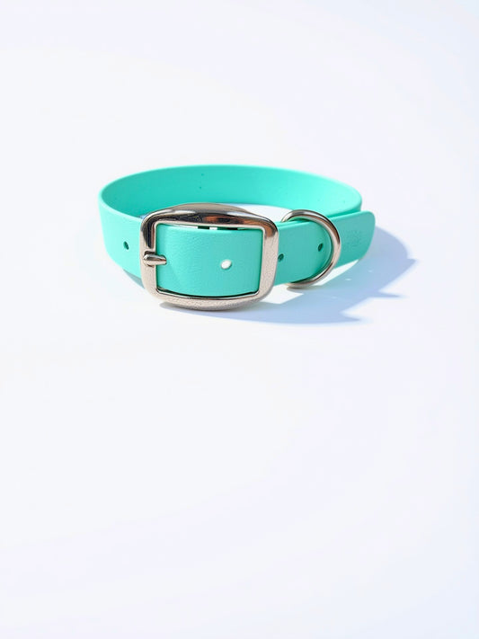 Aqua Collar - Seafoam